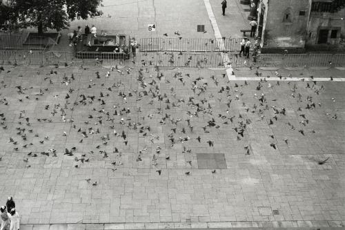 13.08. 1991